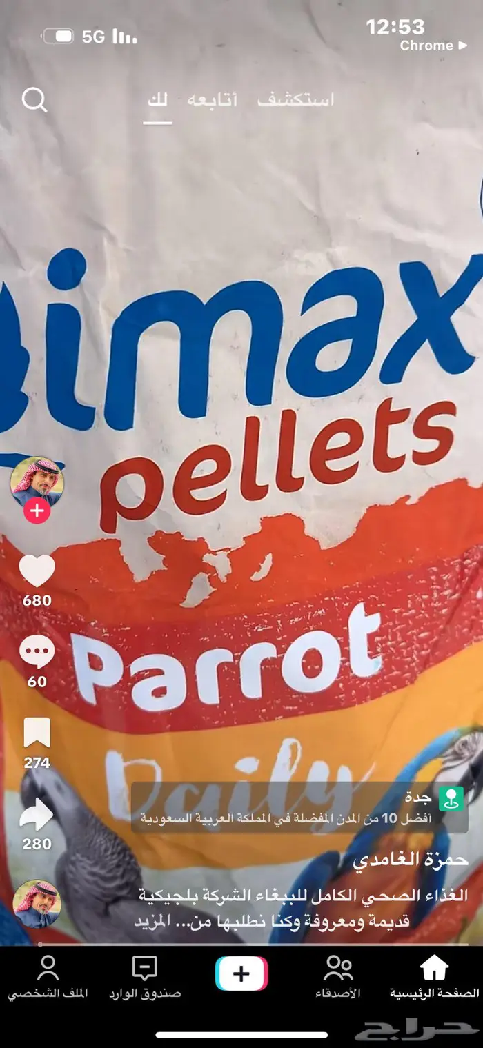 آفي ماكس آكل الببغاء اليومي 0