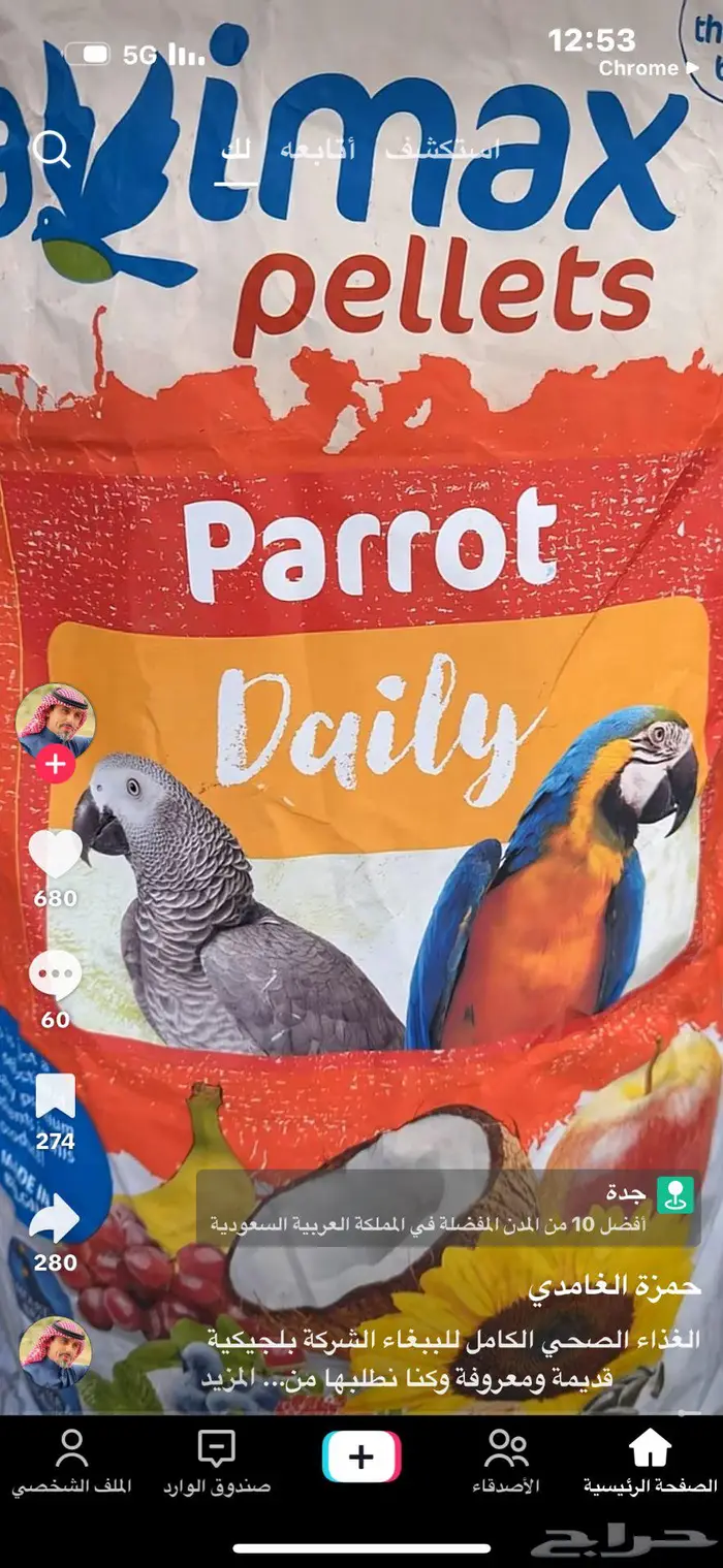آفي ماكس آكل الببغاء اليومي 1