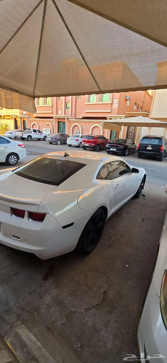 كمارو 2010 قير عادي 4