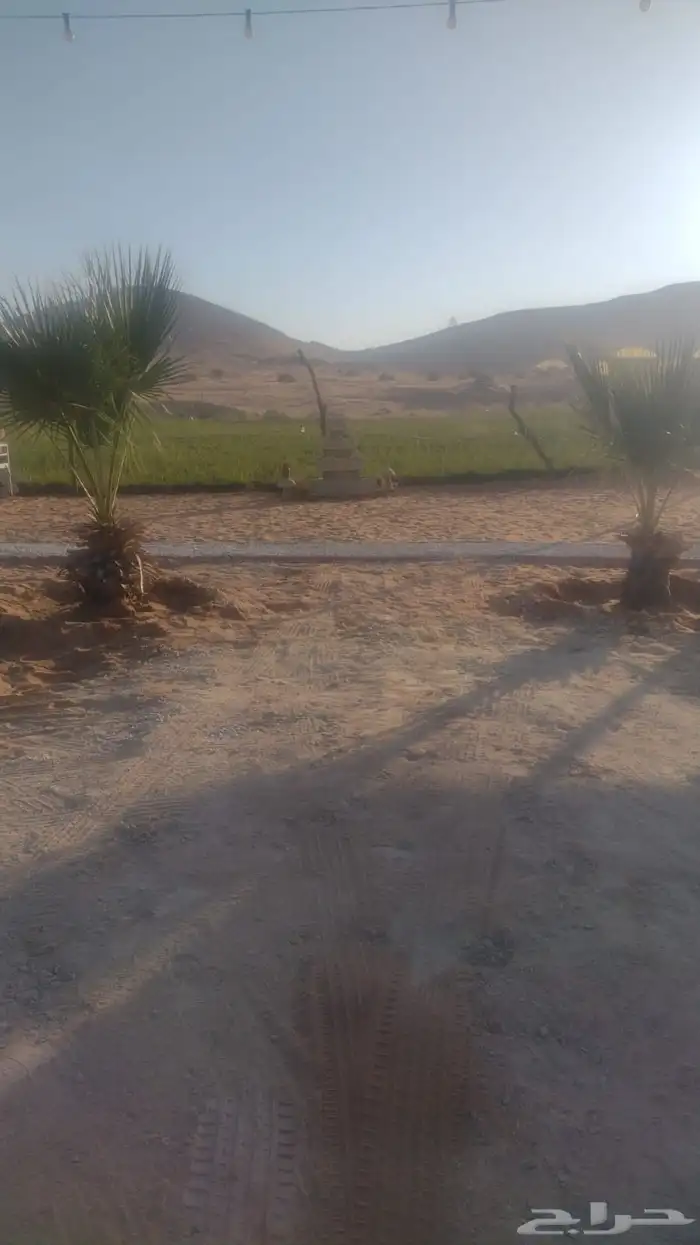 مخيم البستان - جنوب الرياض - الزويليات 6