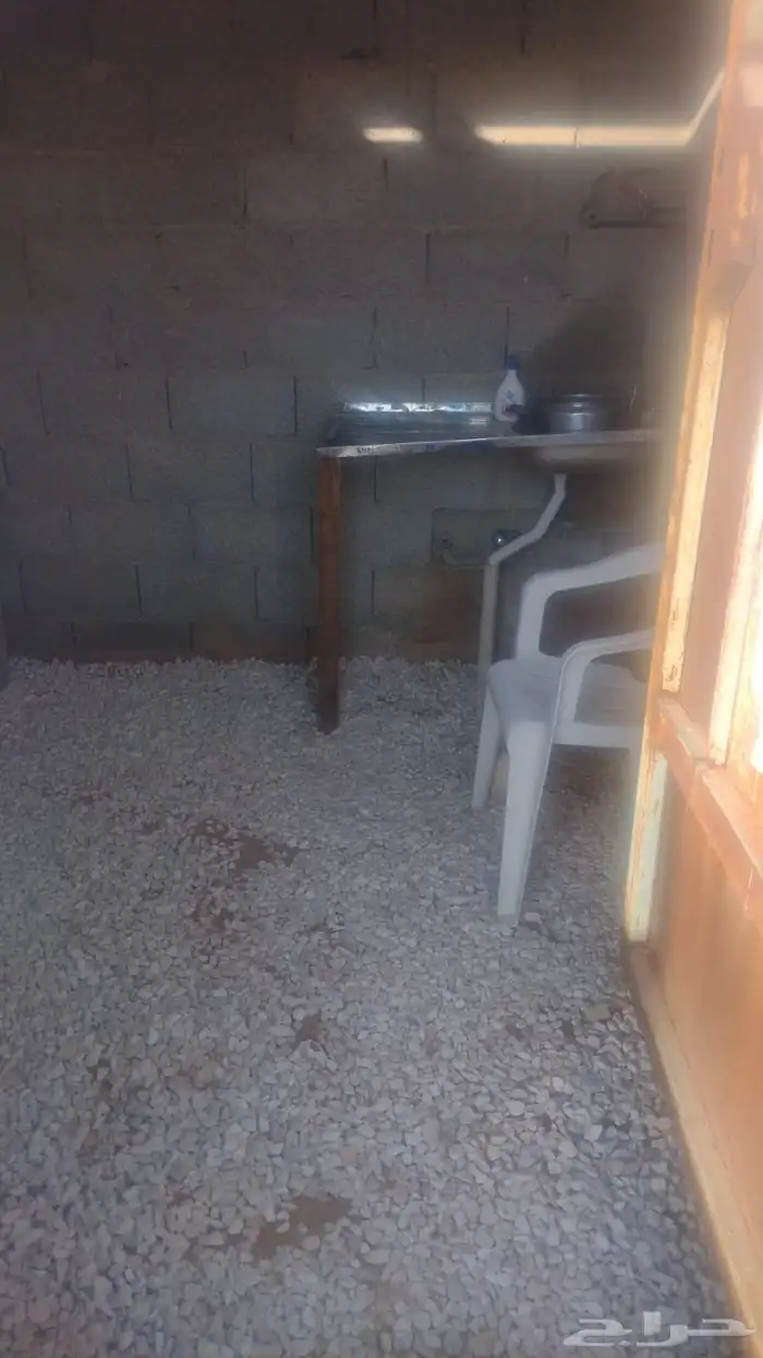 مخيم البستان - جنوب الرياض - الزويليات 1