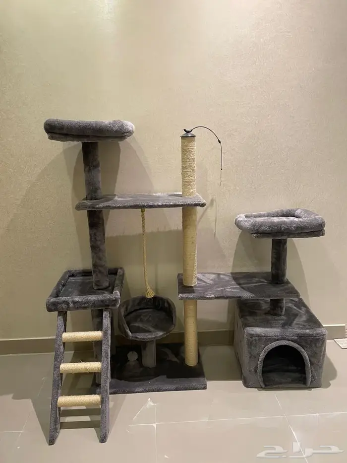 بيت قطط جديد 0