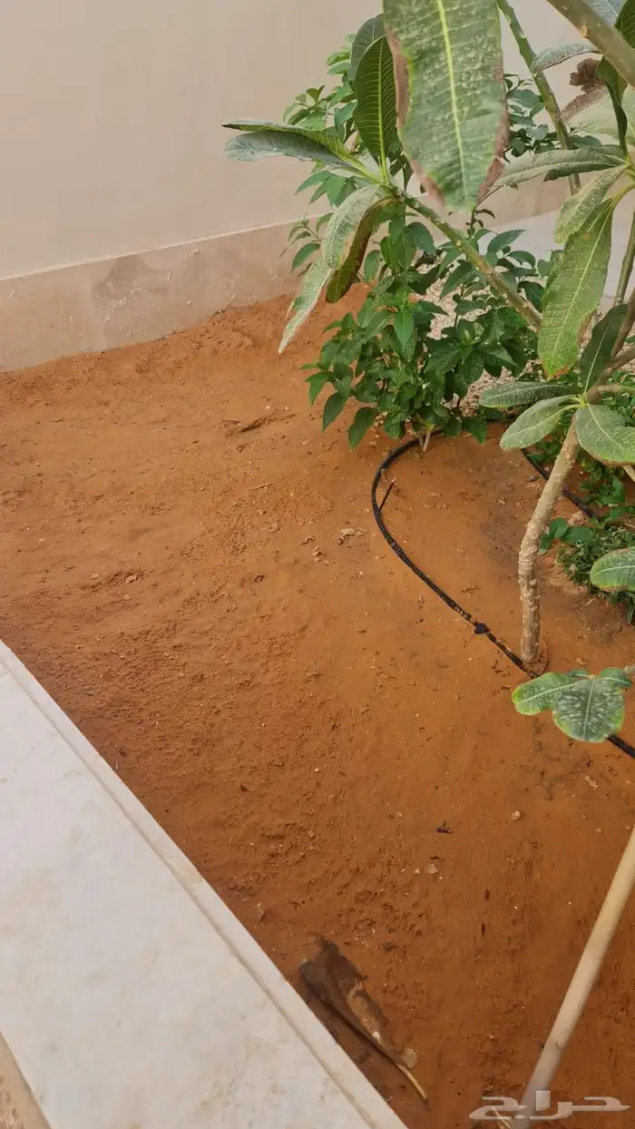 زراعه وحدائق 7