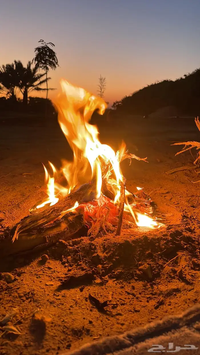 سماد سائل سماد شاي الكمبوست 0