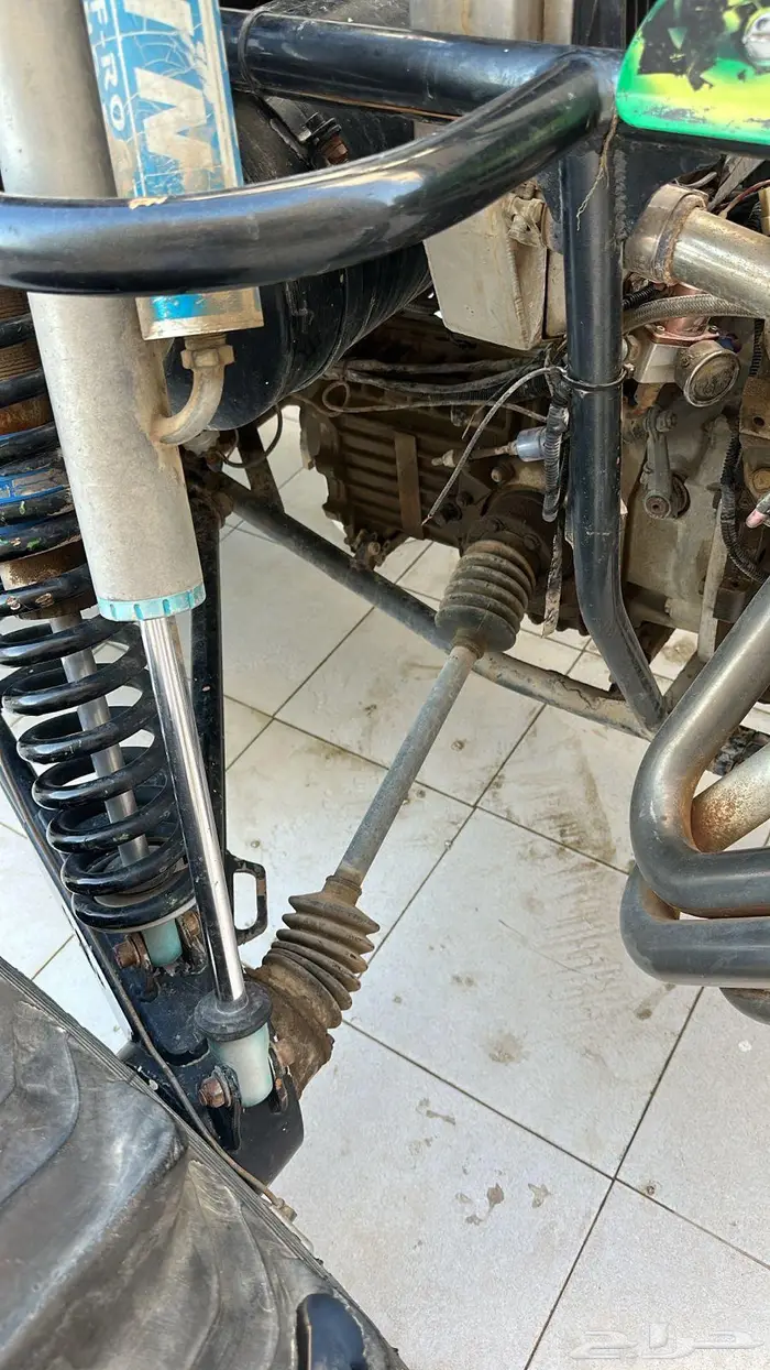 للبيع بقي امريكيه 7