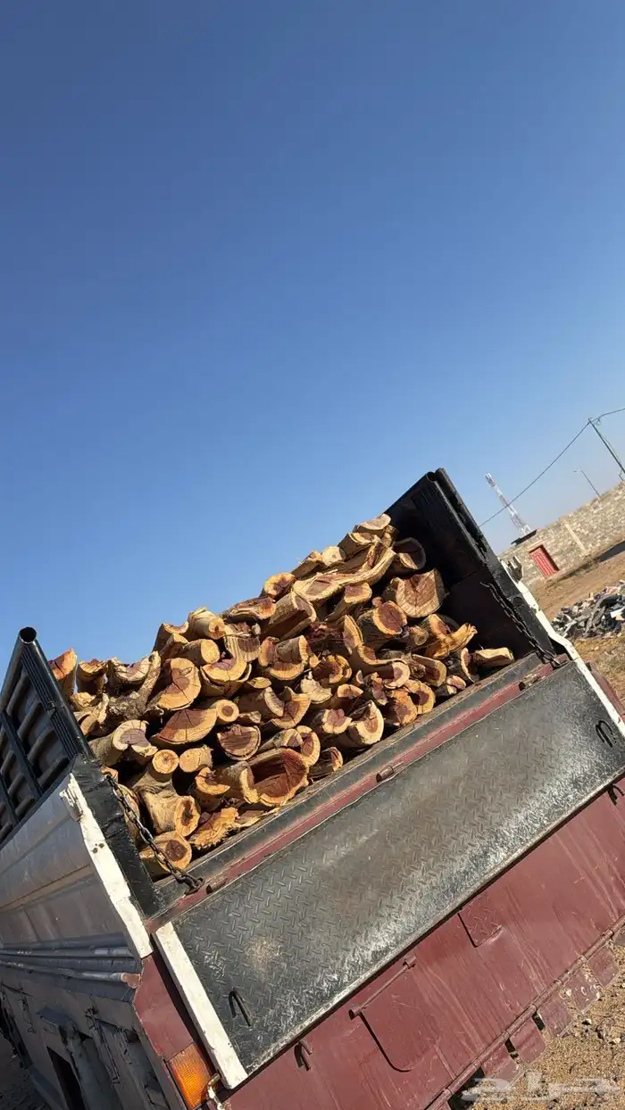 حطب ارطى يابس شرط وسمر المدينه .. 1