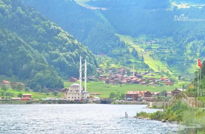 D5100 مع صور من تصويري بالكاميرا 2