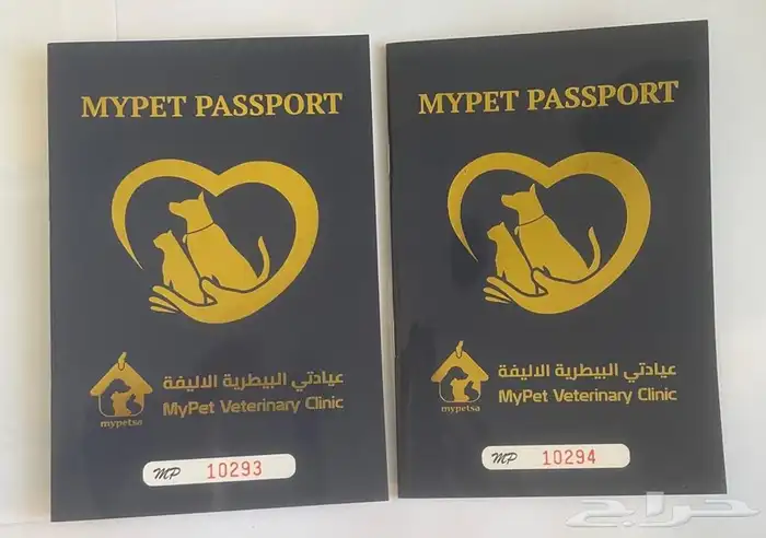 كلاب هاسكي للبيع عالسوم مطعمين ومعهم دفتر التطعيمات 10