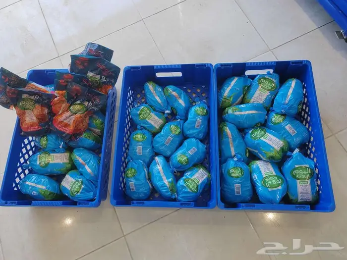 صدور دجاج طازجة كشتة سائد. 2