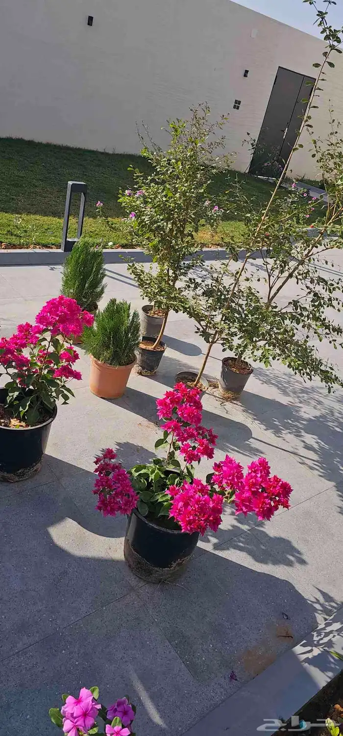 تنسيق حدائق 6