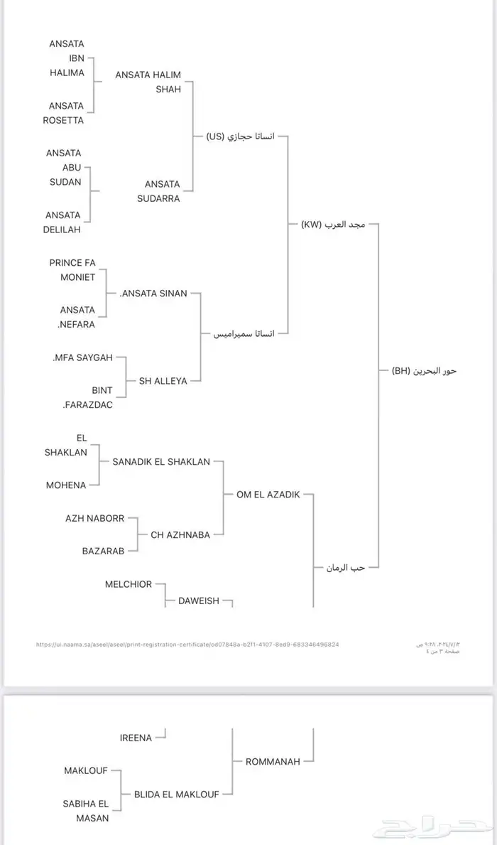 فرس واهو مستورده 1