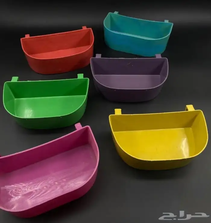 اكل بلبيل.و. وطيور واكل قطط 10