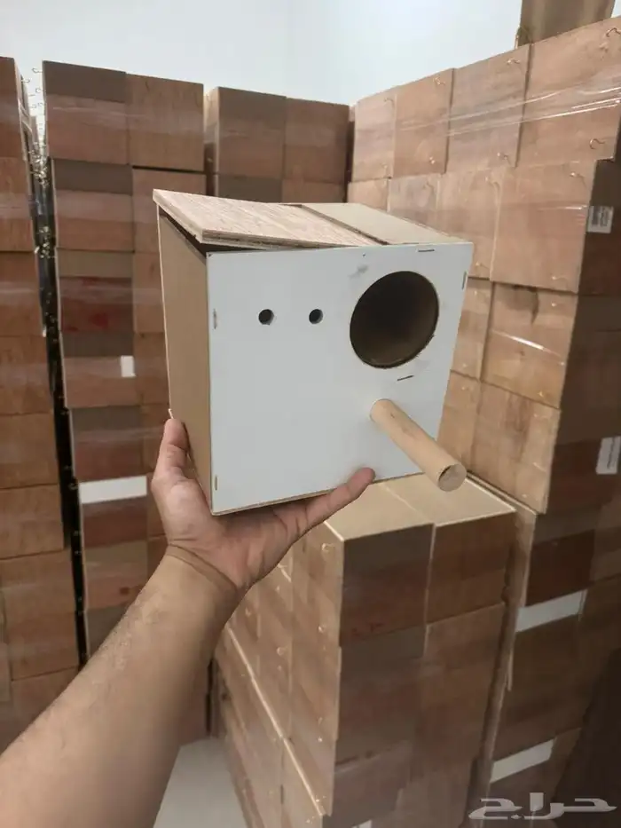 اكل بلبيل.و. وطيور واكل قطط 7