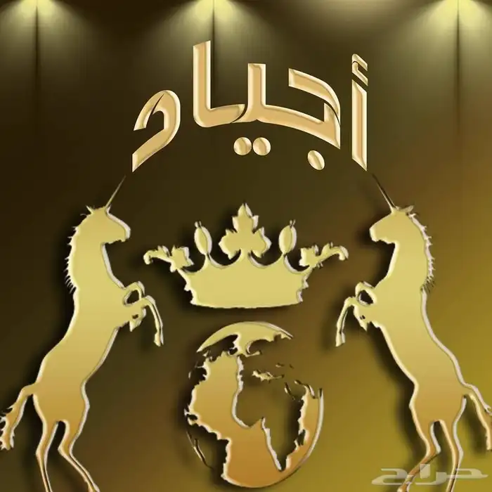 شركة أجياد بيشة لنظافة المنازل 1