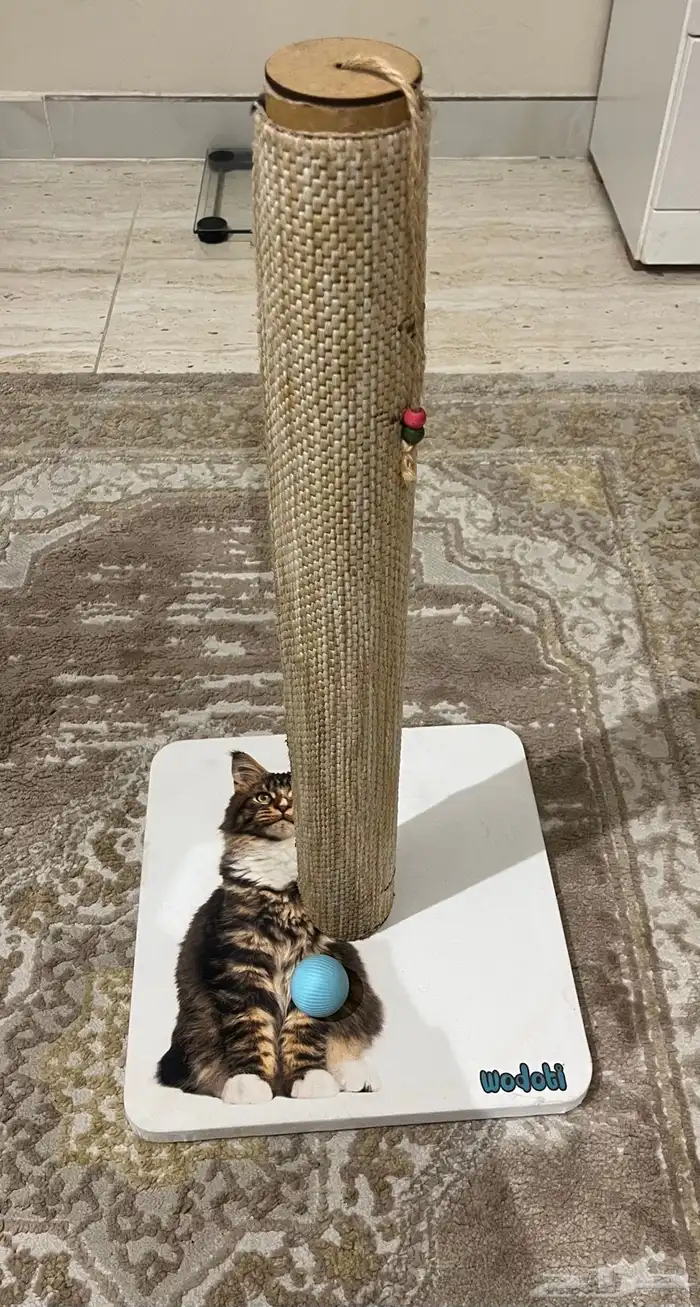 مستلزمات قطط 1