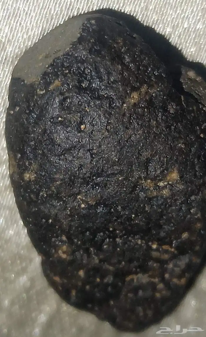 نيزك الجمال الأسود..12..Black Beauty Meteor 1