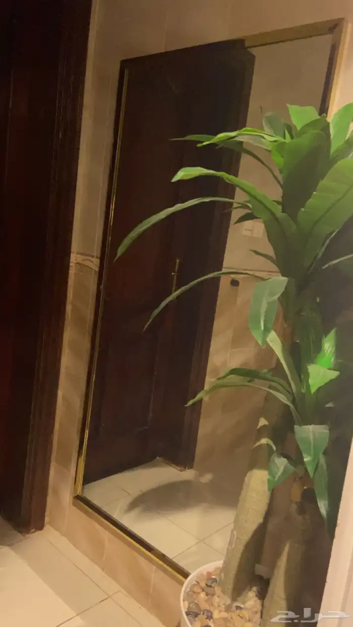 مرايا مدخل كبيره 0