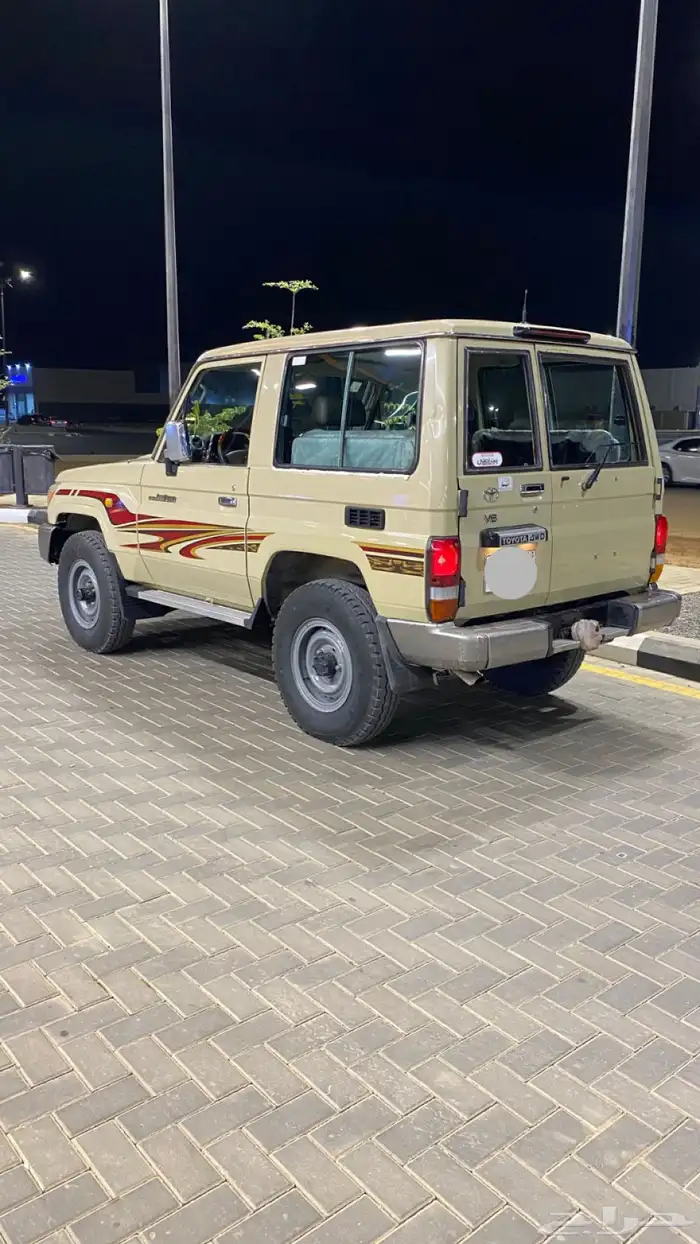 للبيع ربع 2010 1