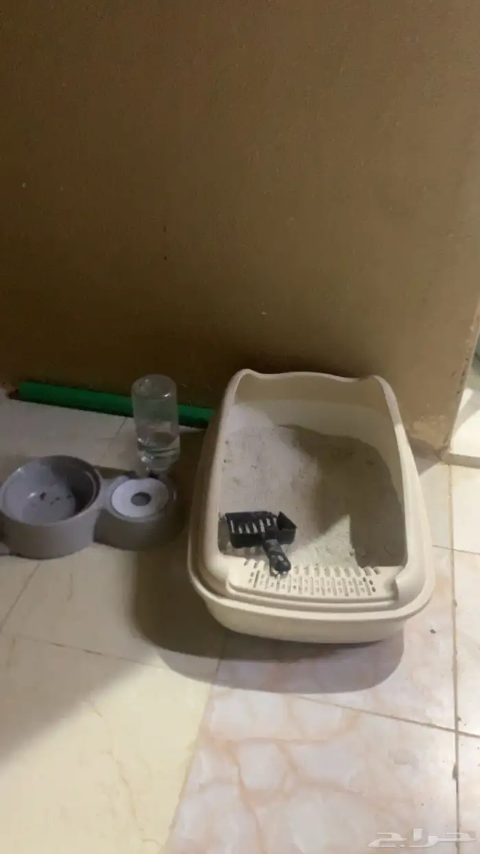 اغراض قطط للبيع مع مقص اظافر مخصص لها 0