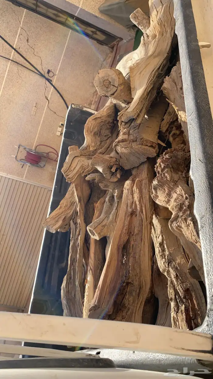 حطب مستورد سمر 0