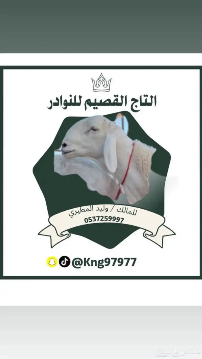 معزا 0