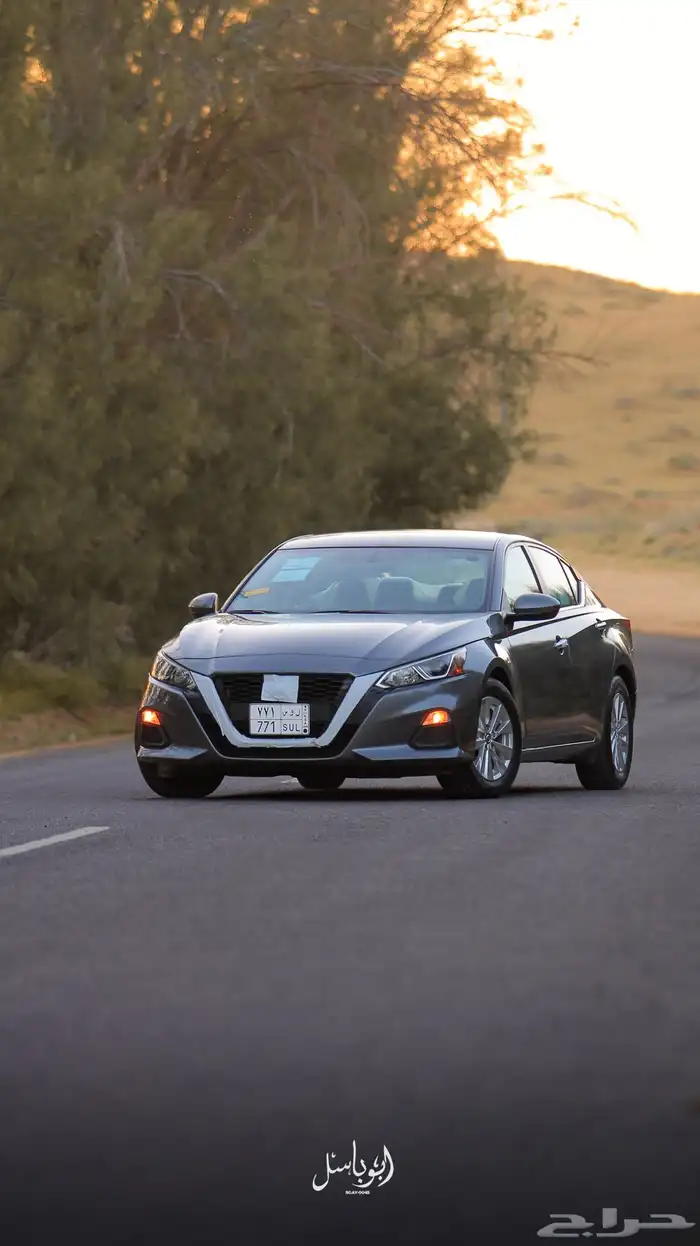 التيما 2021 ستاندر 4