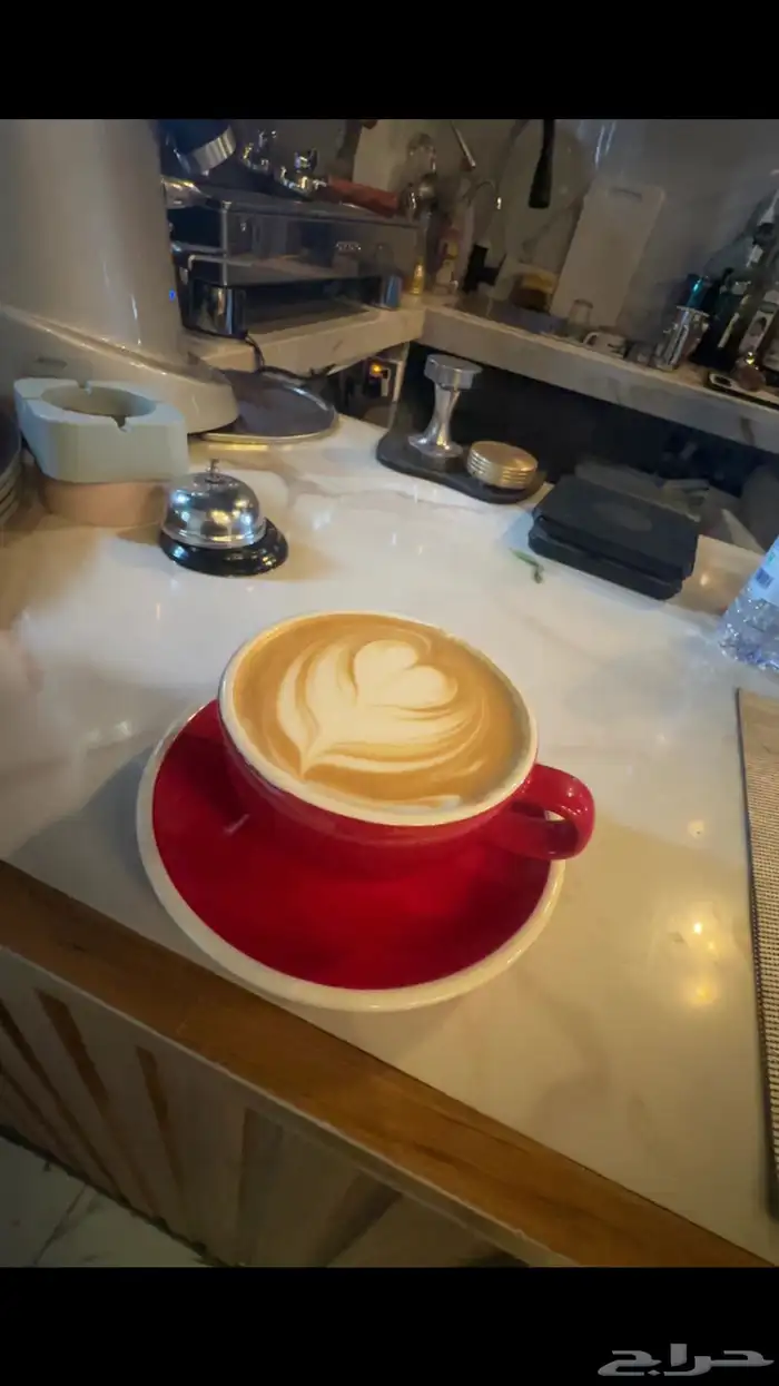 مجال كافيهات ومطاعم 1