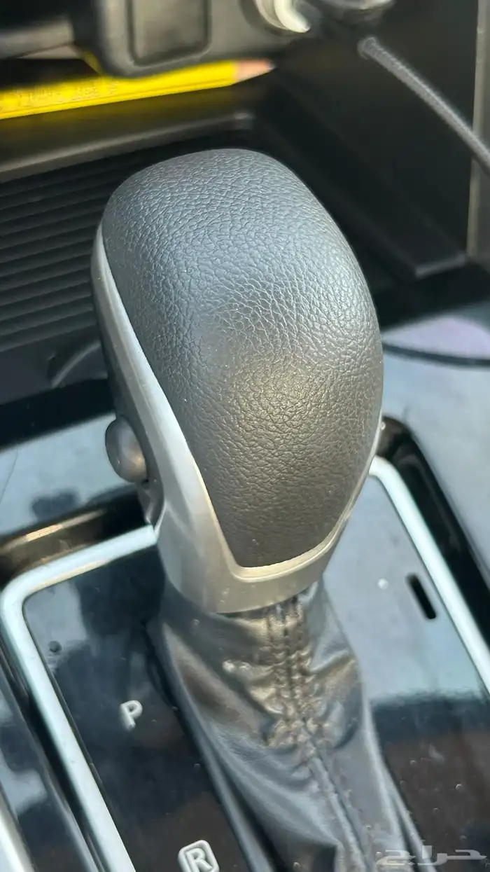 اكسباندر 2022 ممشى 57 12