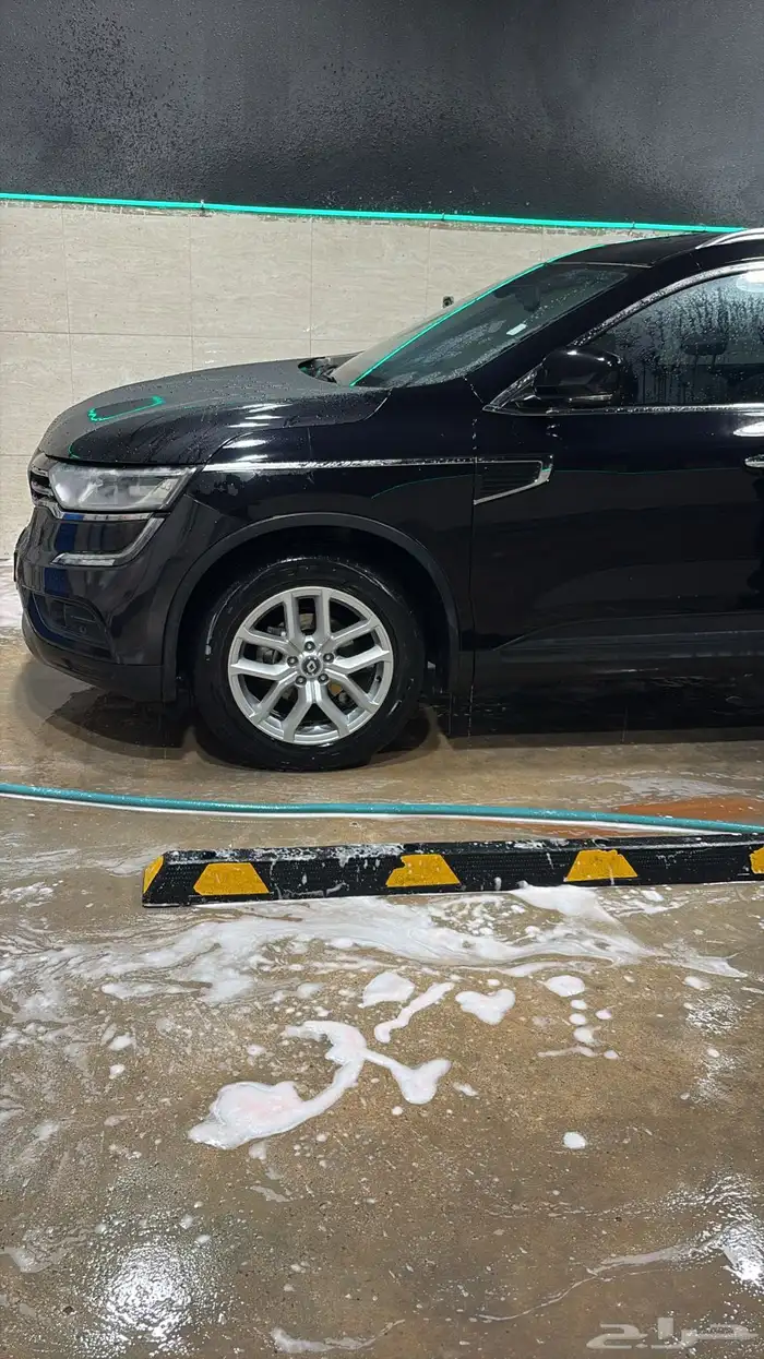 رينو كوليوس 1