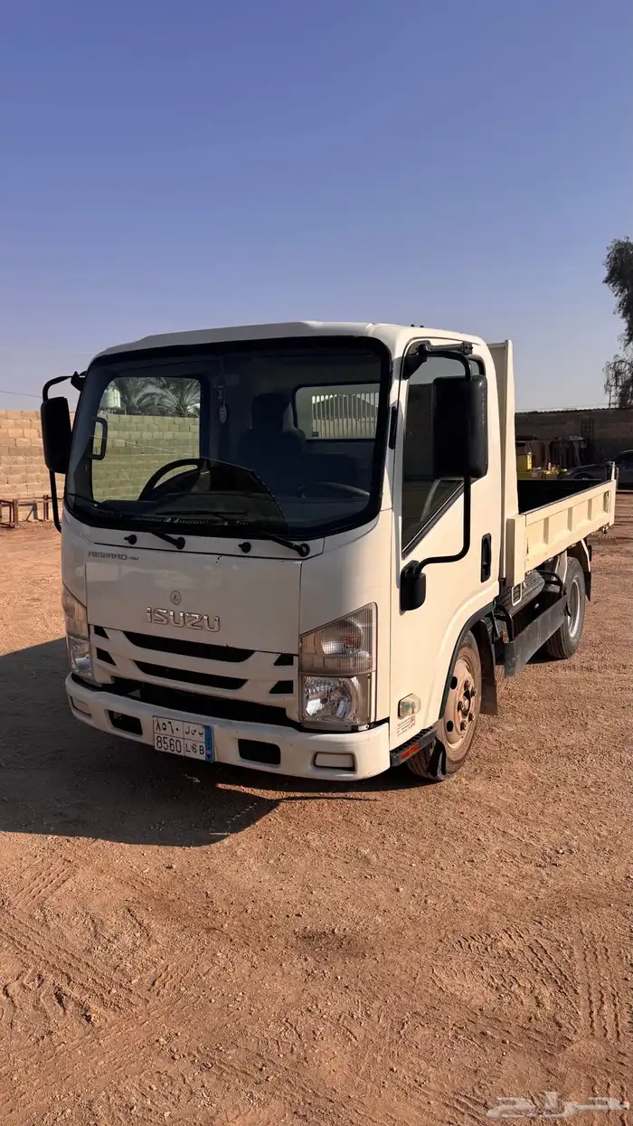 دينا قلاب ايسوزو 15