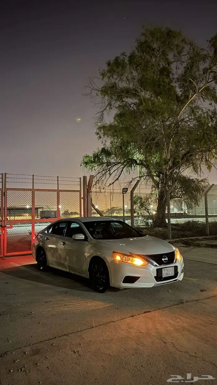 التيما 2017 28