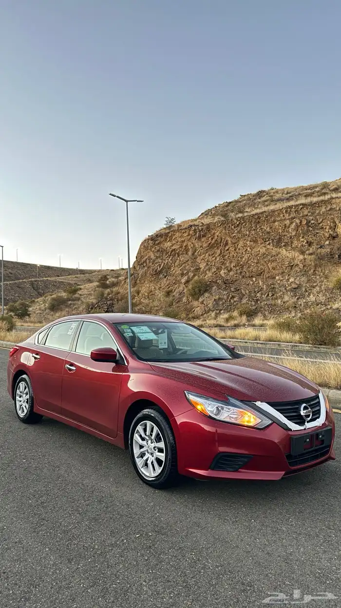 التيما 2017 مخزن 19