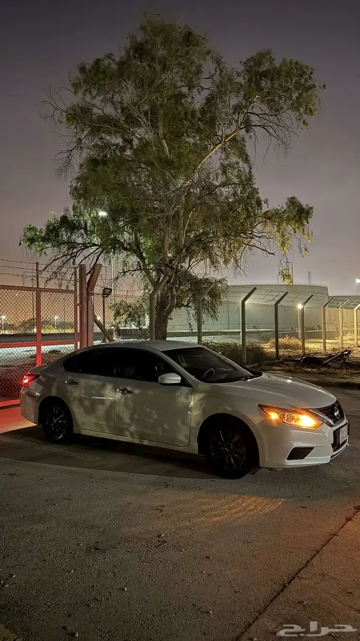 التيما 2017 25