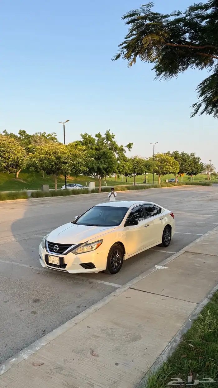 التيما 2017 16