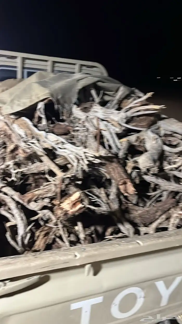 حطب طيب ارطى 0