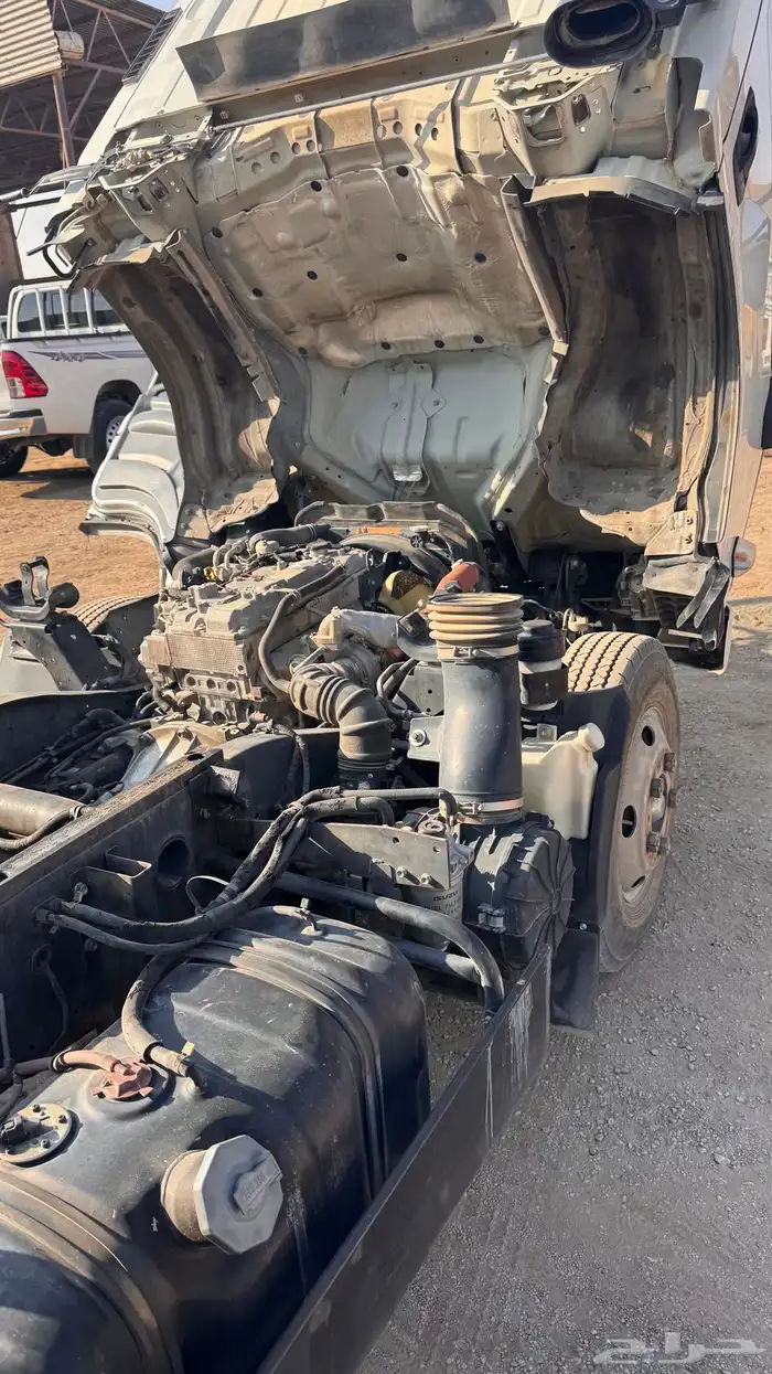 دينا قلاب ايسوزو 1