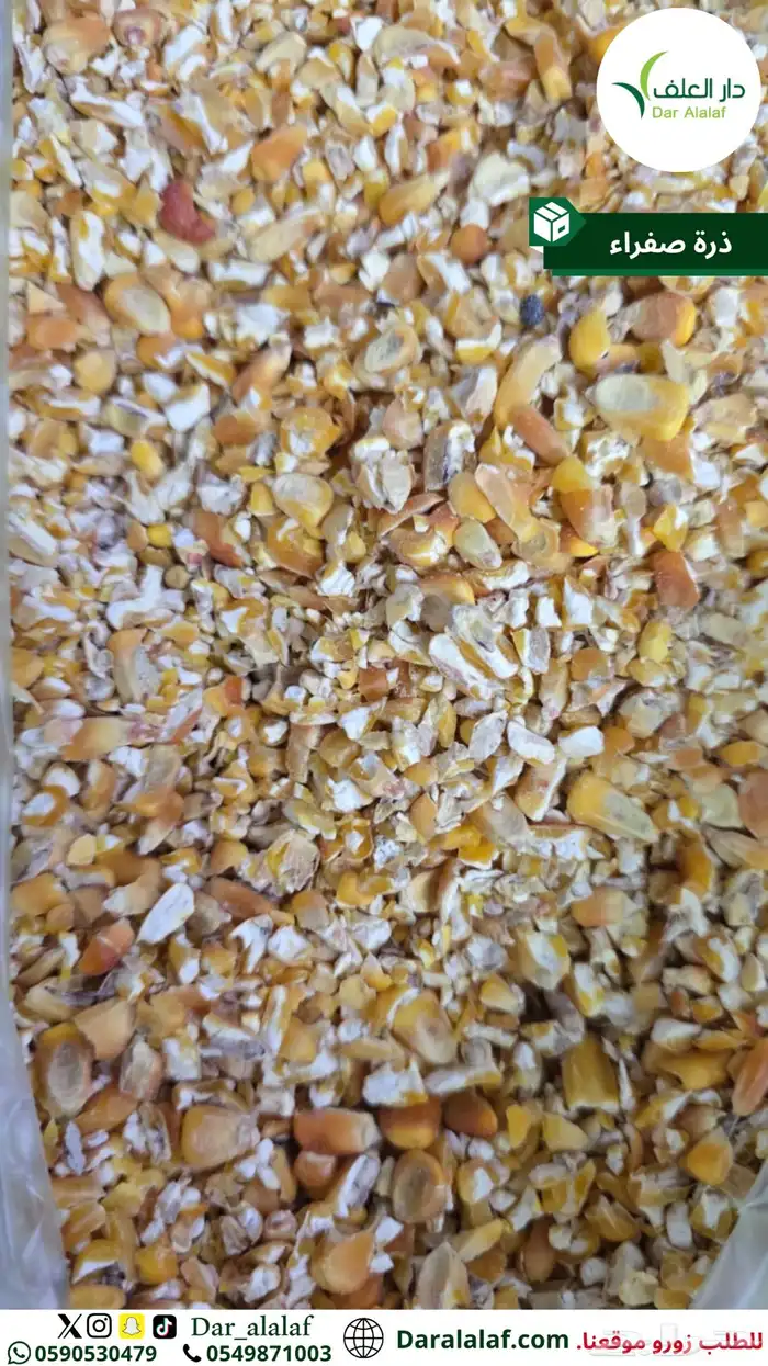 ذرة مجروشة شامل توصيل 3