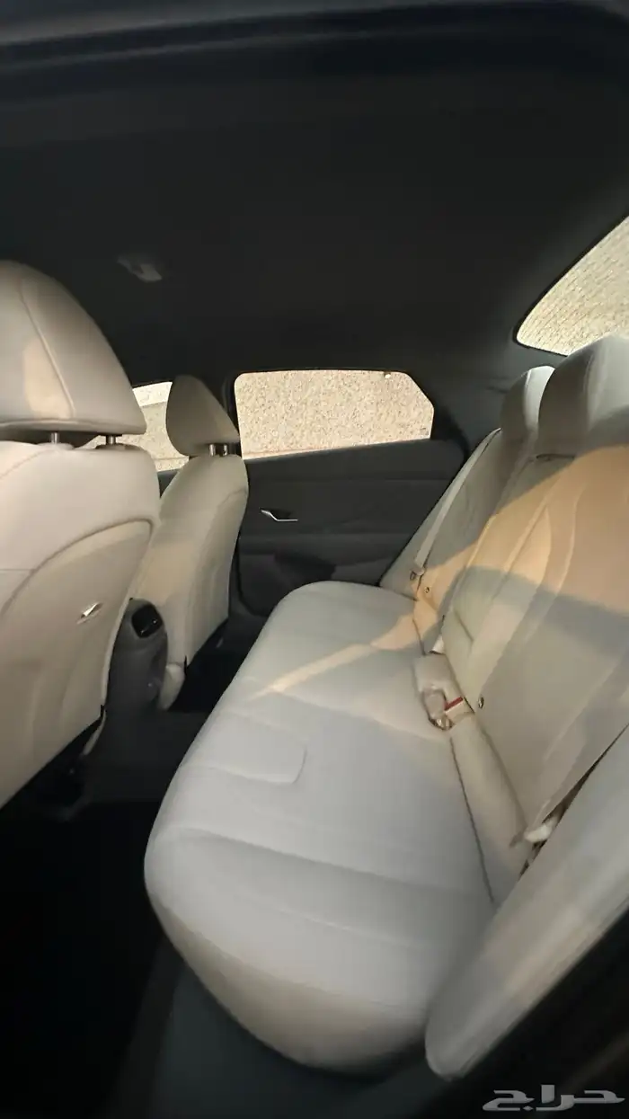 الانترا 2024 8