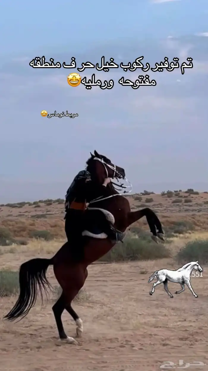 توفر ركوب حر ف الخفجي 0