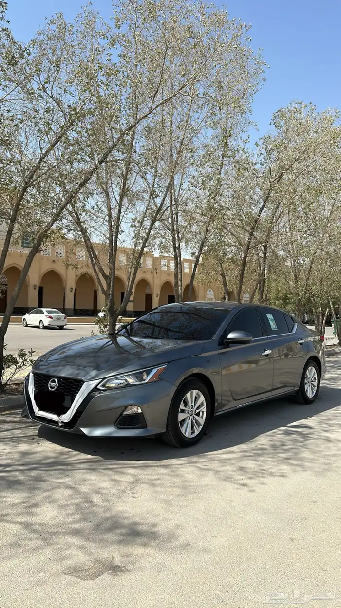 التيما 2021 ستاندر 11