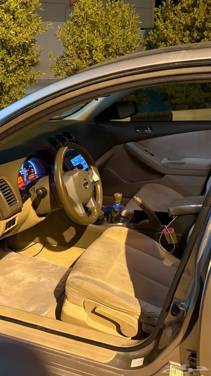 التيما ال2011 6