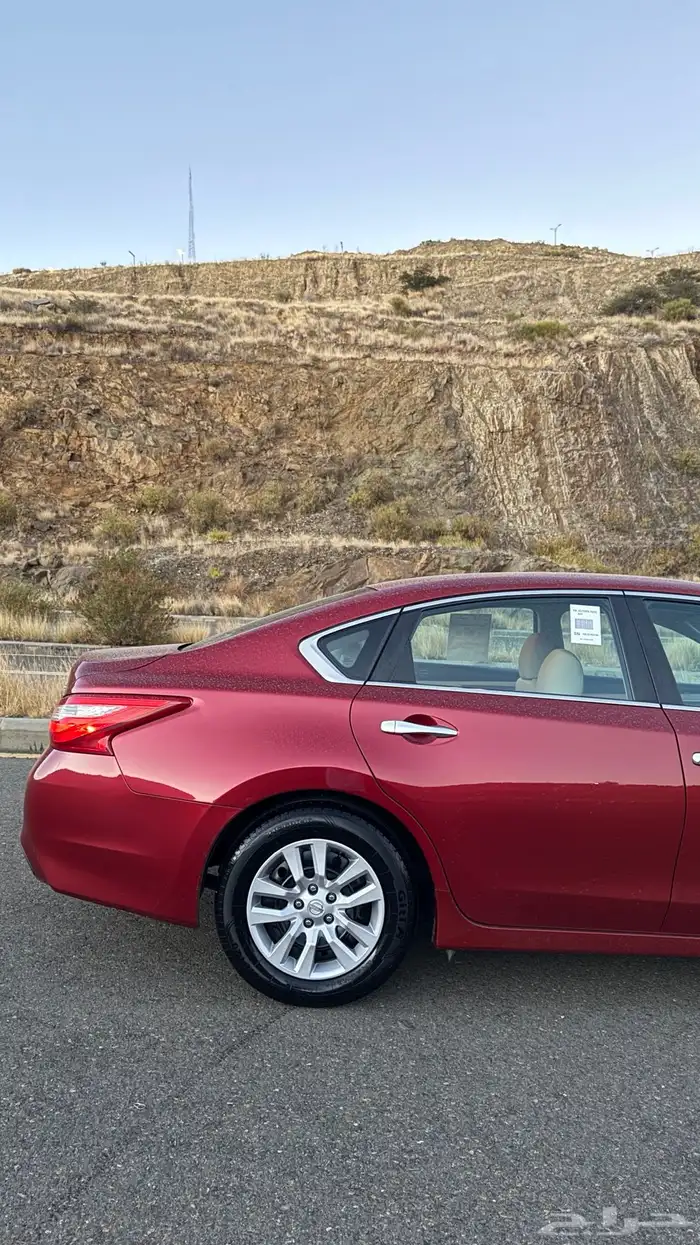 التيما 2017 مخزن 17