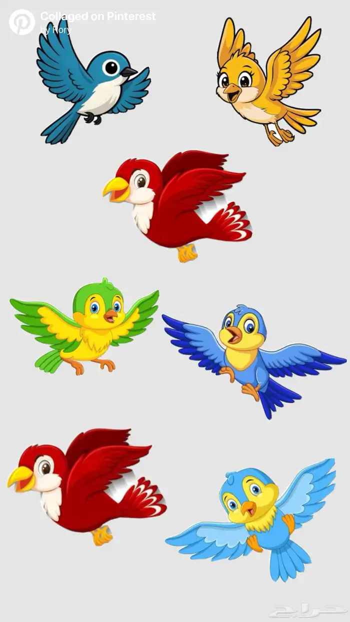 فندقه طيور 0