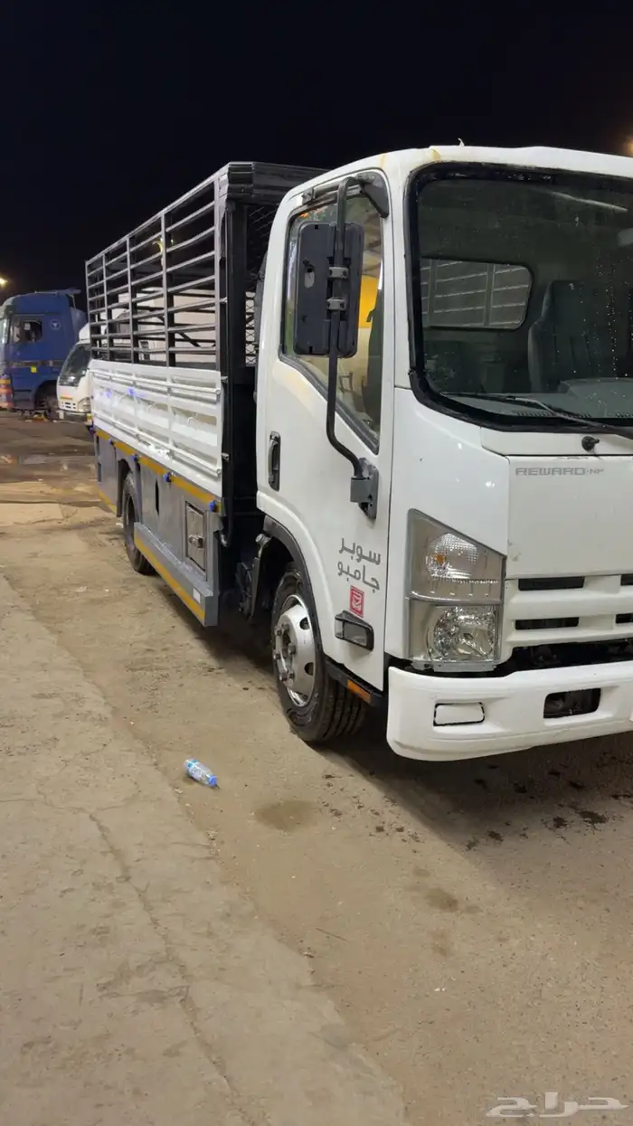 دينا للإيجار الشهري 0