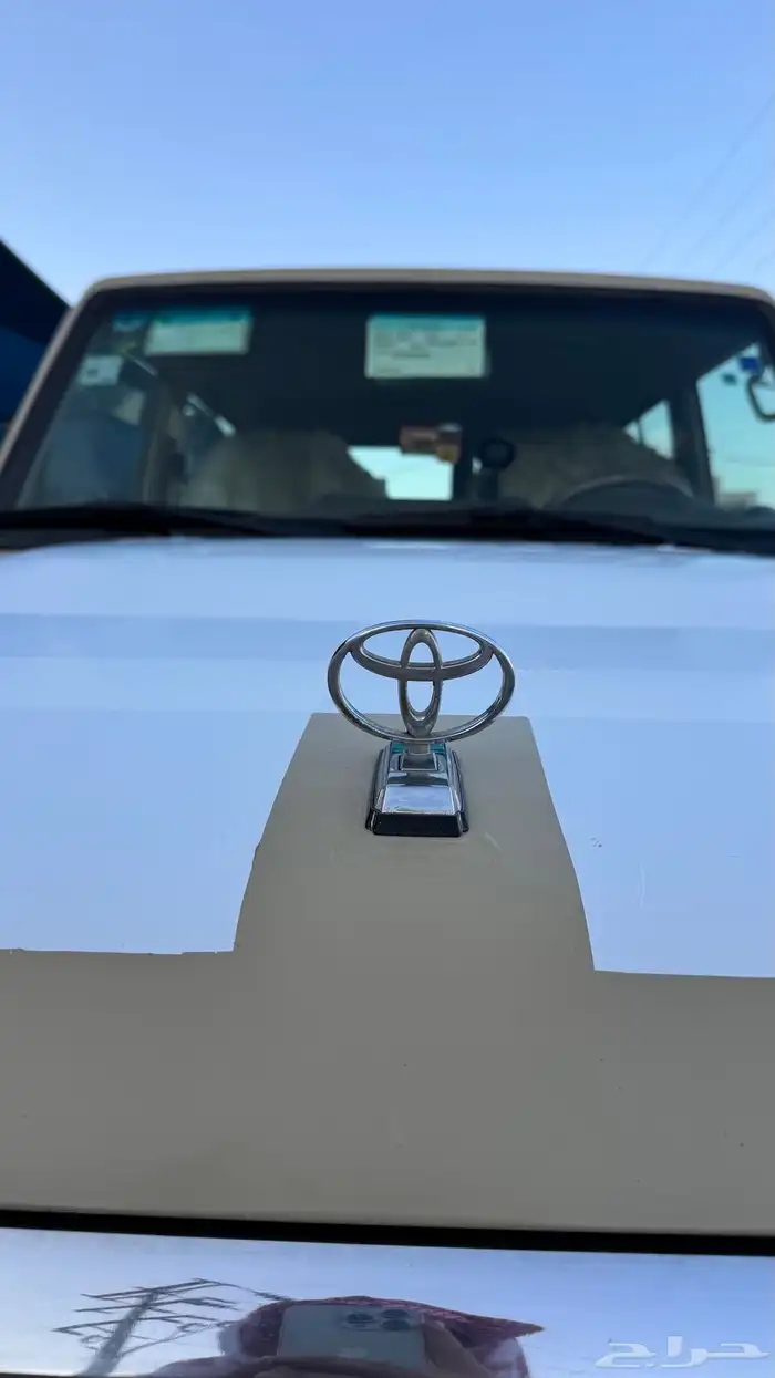 للبيع جيب ربع بلد 31