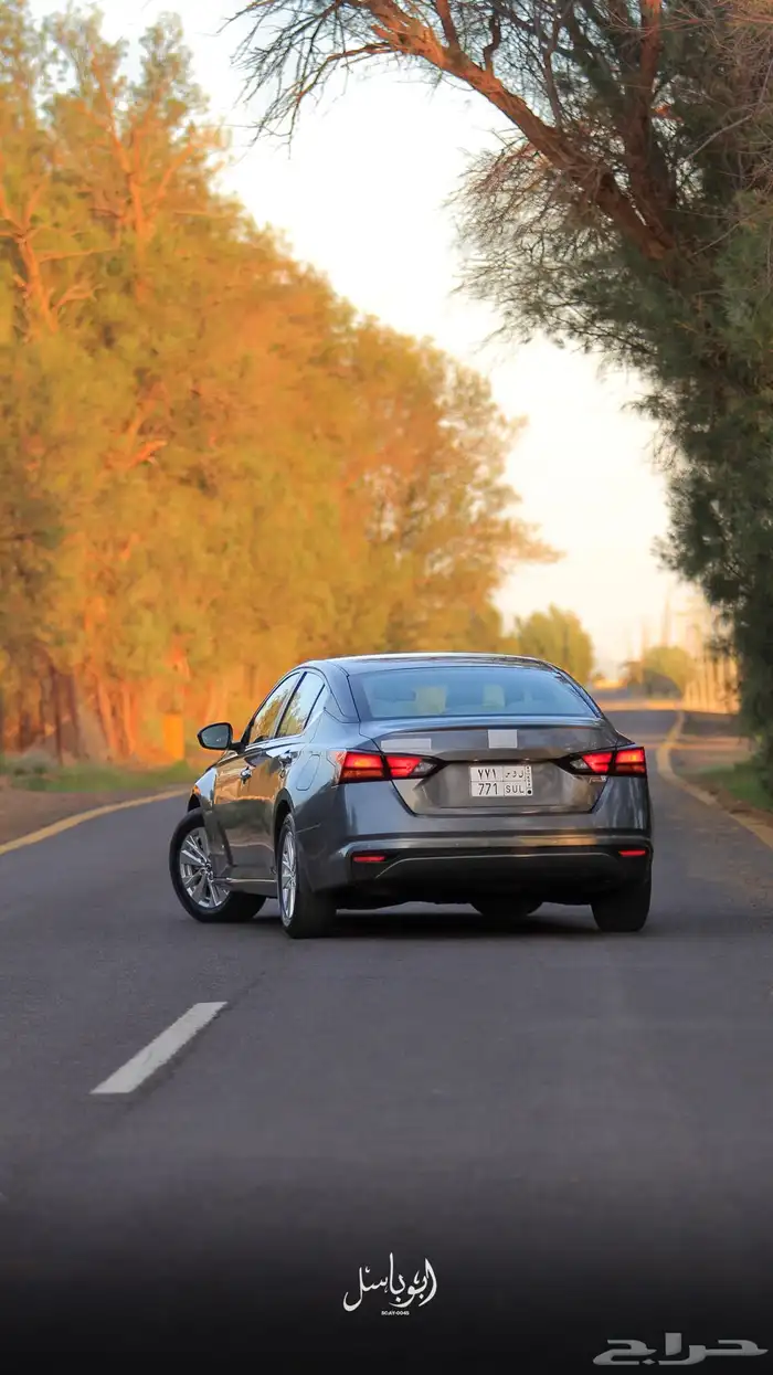 التيما 2021 ستاندر 7