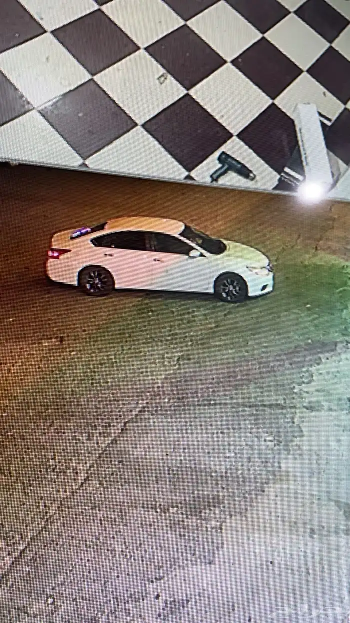 التيما 2017 30