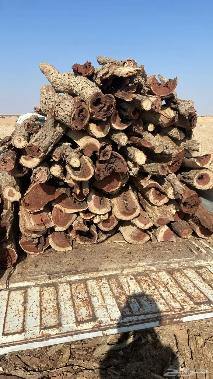 حطب مستورد 0