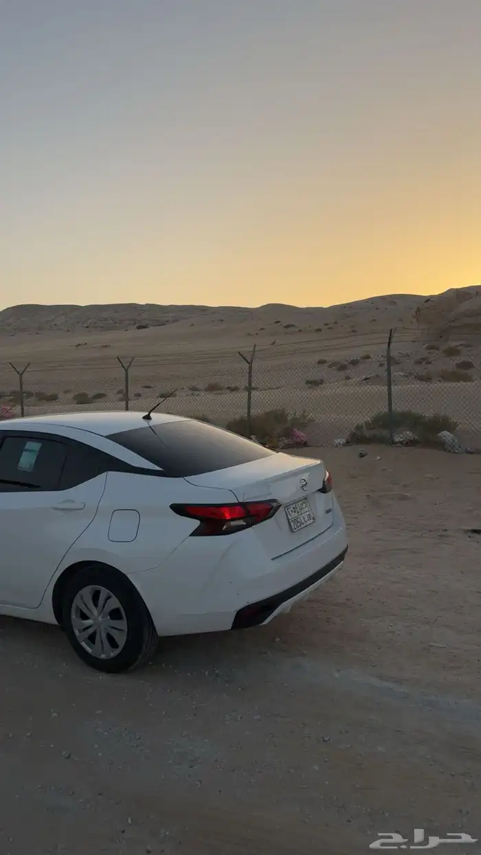 صني 2022 ستاندر الشكل المكسيكي 4