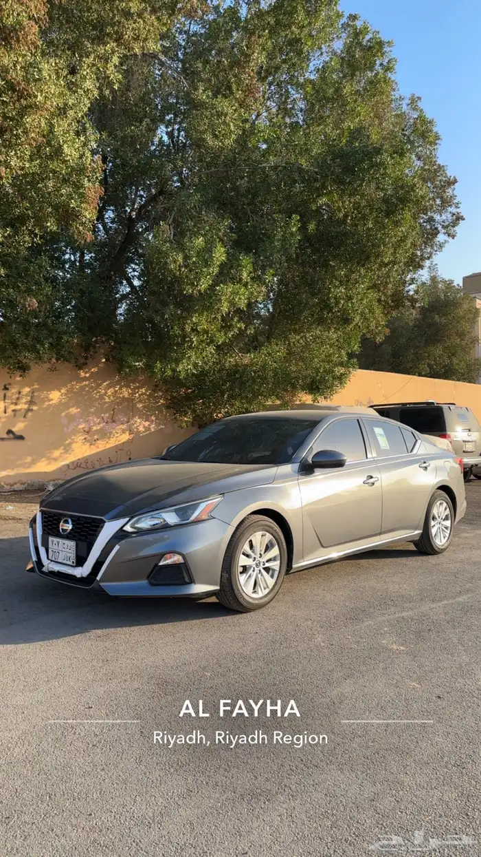 التيما 2021 ستاندر 29